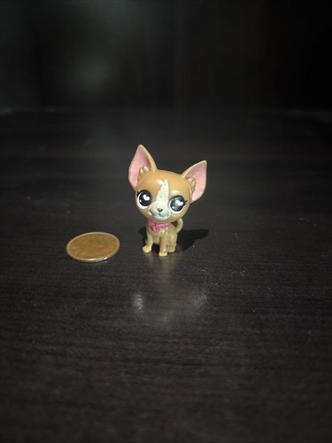 Authentic littlest pet - authentic, shop