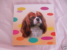 Carnet aimanté à feuilles -