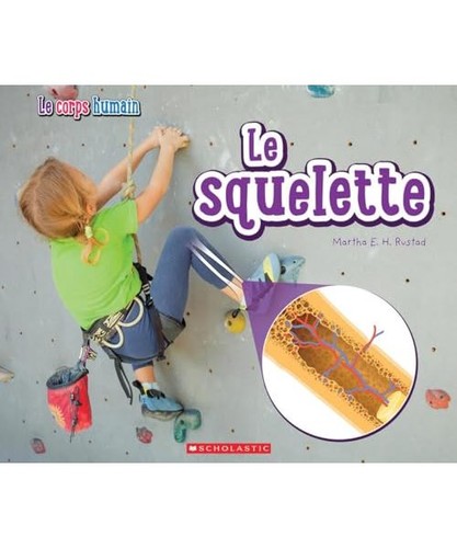 Corps humain le squelette - le,