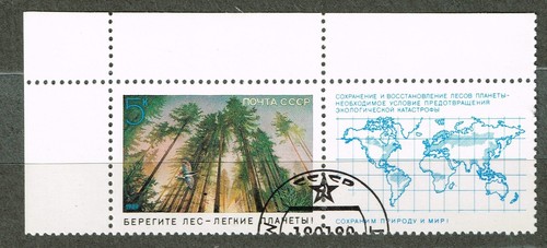 Russia protect forest world - forest,