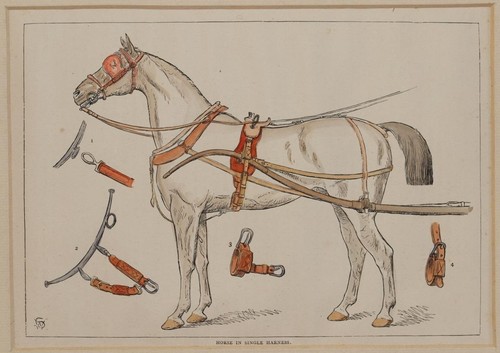 Cheval attelage simple - en,