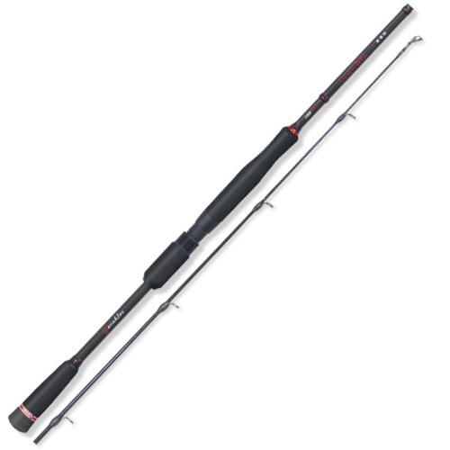 Canne pêche spinning 2 - canne,