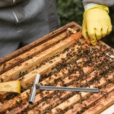  Poignée à vis pour presse-miel - Poignée en T pour extracteur de miel -