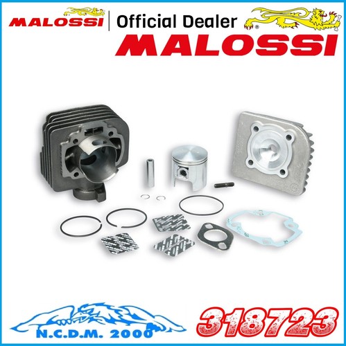 Groupe thermique malossi 47 - groupe,