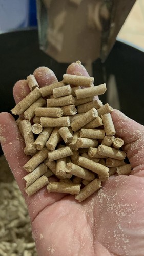 Pellets carpe csl - pellets,