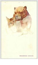 CHATS.n°1446.PORTRAIT D´UN CHIEN BOULEDOGUE FRANCAIS ET CHAT