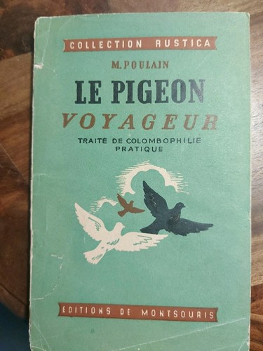 Pigeon voyageur traité - pigeon,