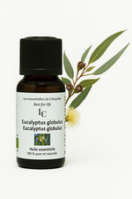 Huile essentielle d'Eucalyptus globulus bio - 30 ml - 100% pure et naturelle