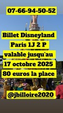 🎟️ Billet Disneyland