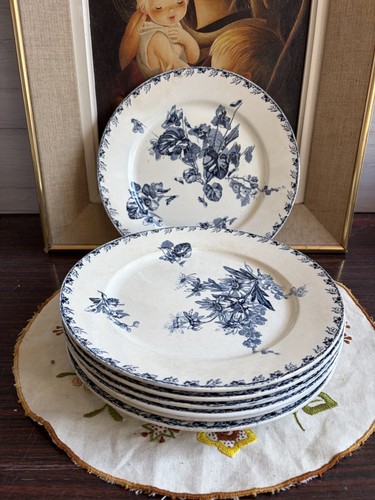 Assiettes plates - 7,
