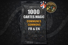 Lot de 1000 cartes magic en