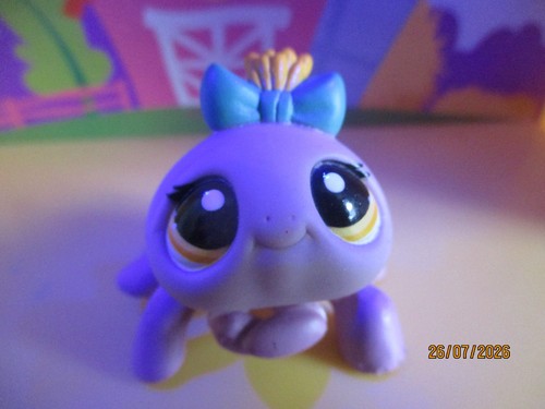 Petshop araignée 1031 - petshop, #1031