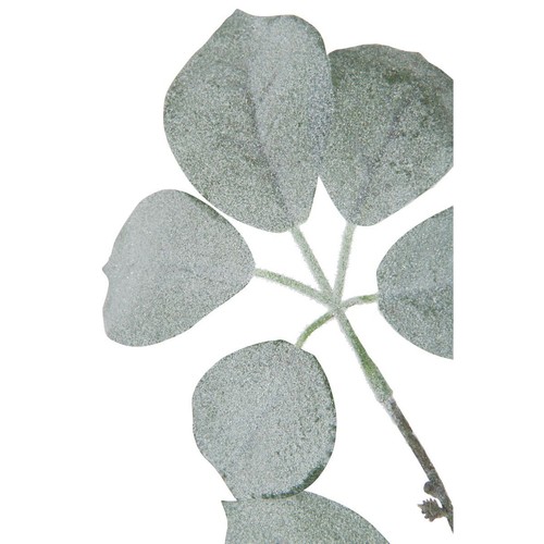 Branche artificielle floquée - branche,