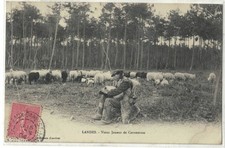 LANDES (40) - Vieux joueur de cornemuse