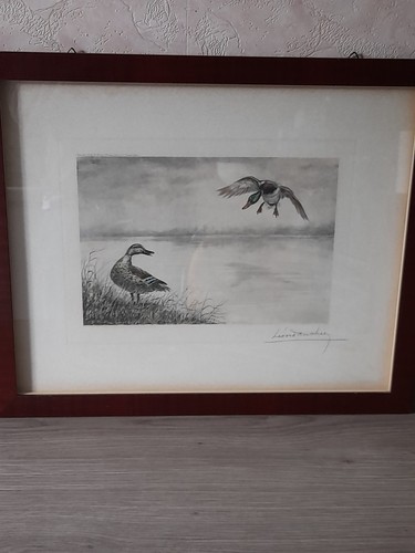 Ancienne litho couleurs - ancienne,