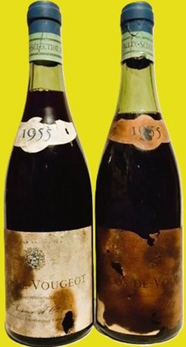 Lot clos vougeot - clos-vougeot,