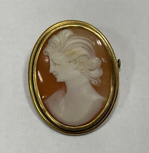 Magnifique broche avec camée - magnifique,