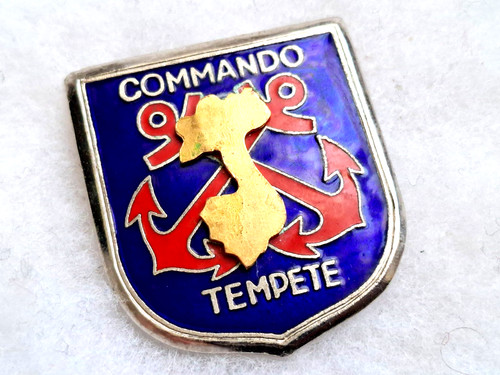 Insigne commando tempete - un,