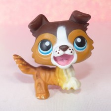 authentic LPS petshop 237