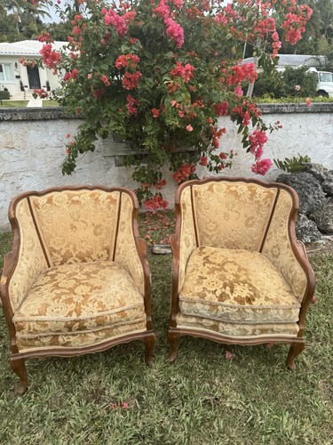 Vintage armchairs french - armchairs,