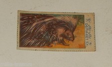 Image CHROMO RI-RI DEMARET 