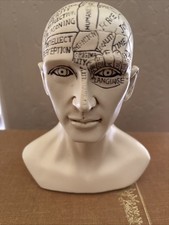 Phrenology Human Head Skull
