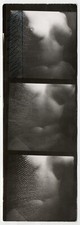 photo nude contact board mesh 1970 body woman curious