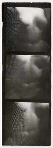 Photo nude contact board - board, mesh
