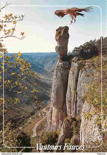 Carte postale lozère - postale,