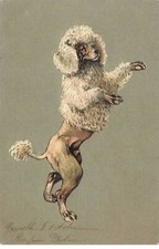 Embossed Card - Animals - Dog - Poodle Making Beautiful