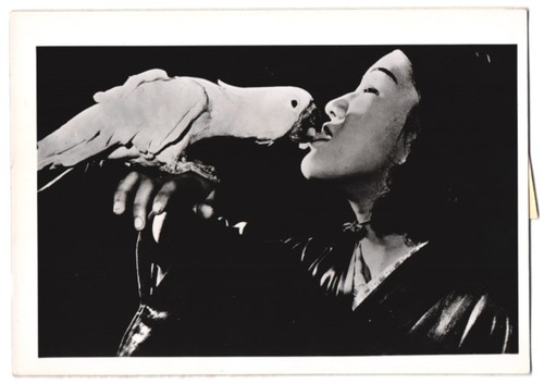 Photographie une éleveuse - photographie, de