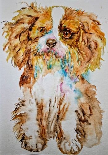 Dog art cavalier king charles - king,