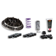 Variateur MALOSSI Multivar