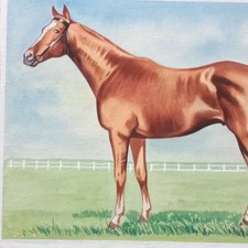 Cheval de Course Pur-sang