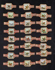 Complete Set of 24 Label Taf