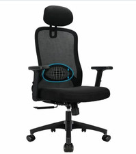 Chaise de bureau ergonomique