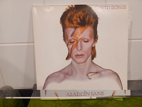 Rare david bowie aladdin - david,