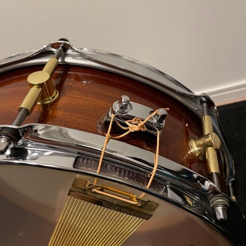 Canopus mahogany series - canopus,