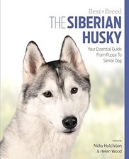 Siberian Husky Best of Breed