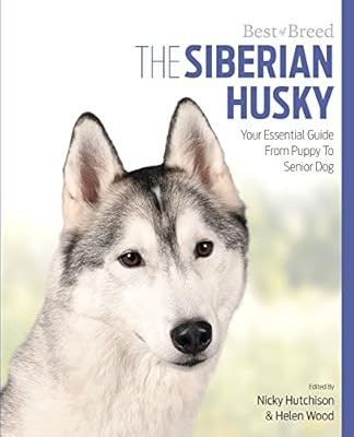 Siberian husky best breed - best,