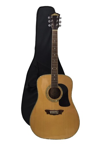Washburn dreadnought - washburn, d-15