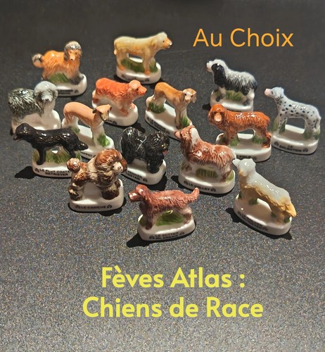 Choix fèves atlas chiens - choix,