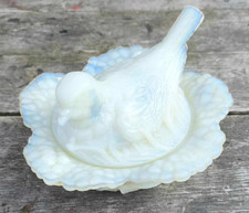 Vintage Oiseau sur nid en