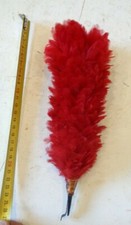Plumet  couleur  rouge pour