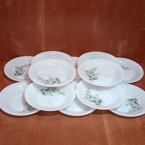 Assiettes creuse arcopal - assiettes,
