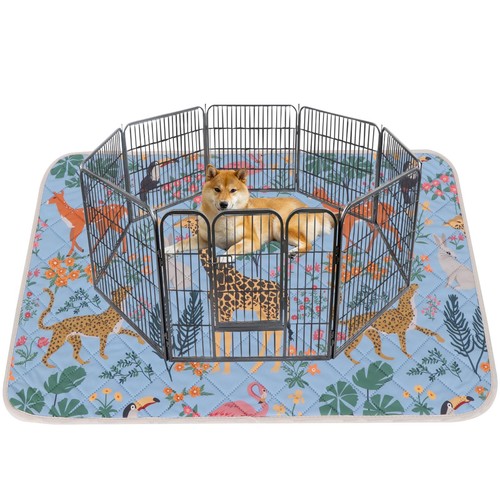 Lot tapis educateur pour - 1,