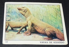 N°17 VARAN DE KOMODO PANINI 1970 TOUS LES ANIMAUX EDITIONS DE LA TOUR