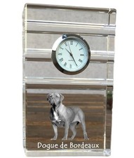 Bordeauxdogge,Dogue de