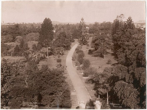 Photo poulsen albuminé - photo,