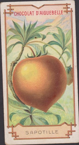 Chromo ancien chocolat - chromo,